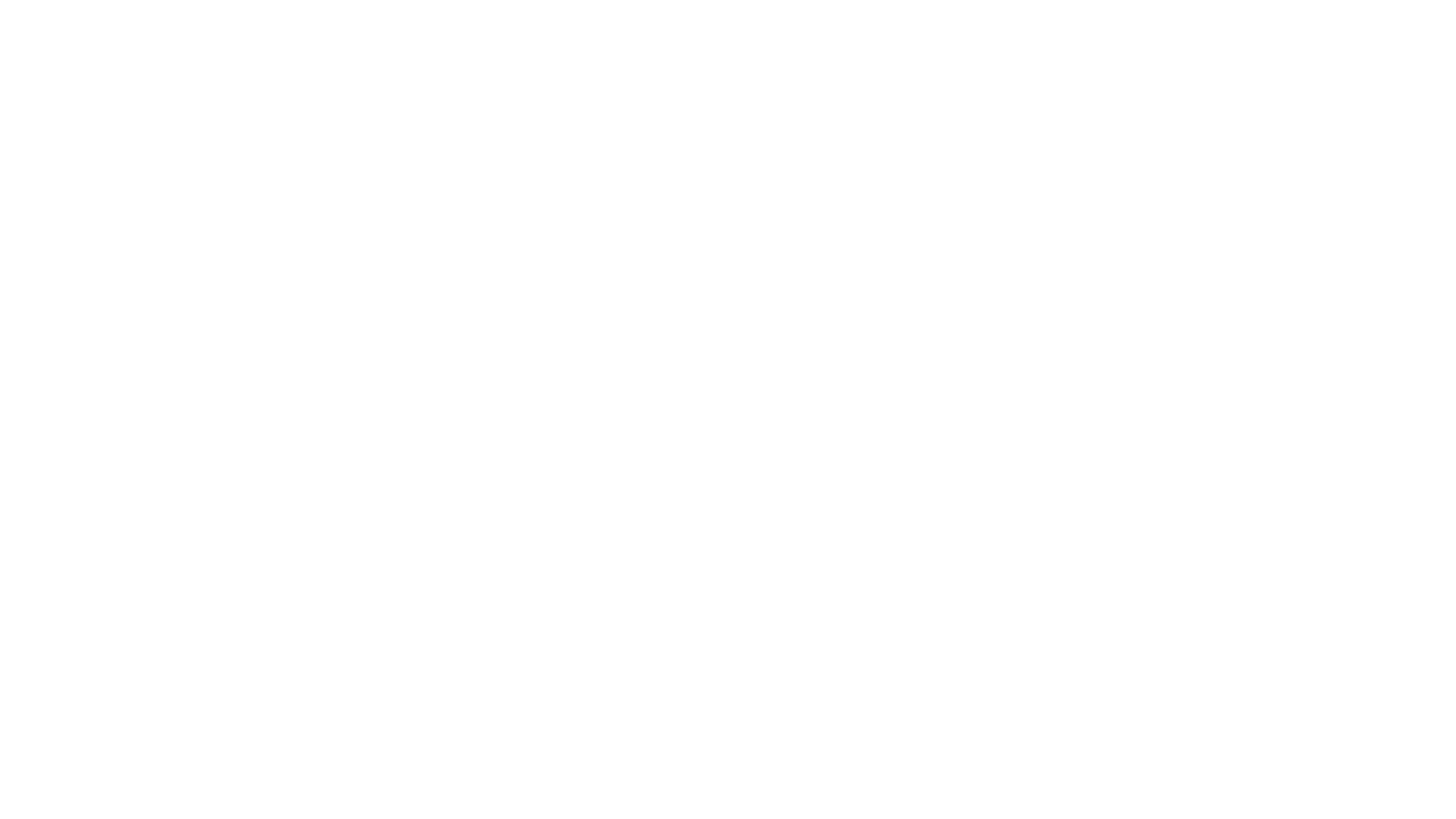 Flow Media Logo